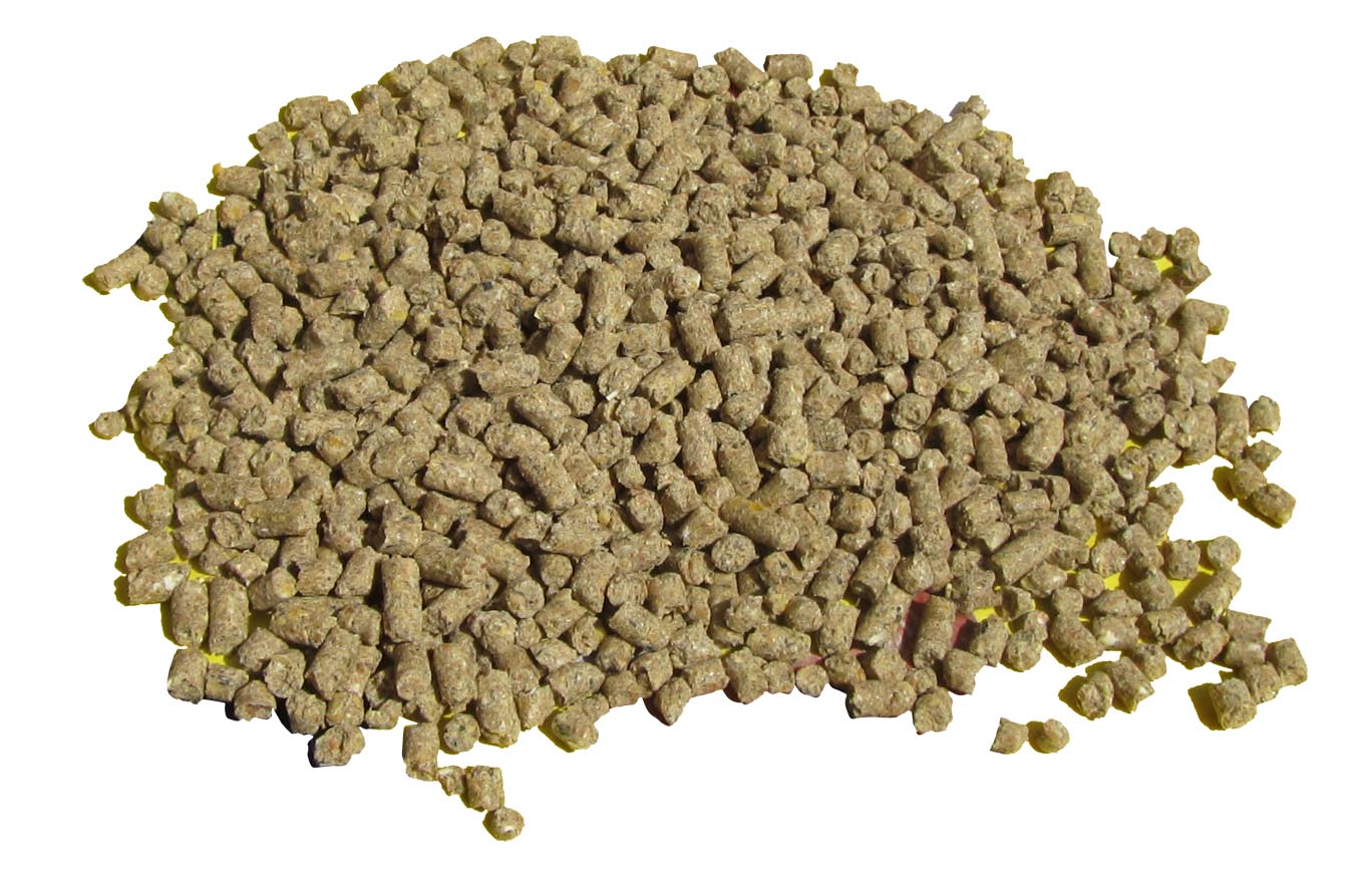 granula